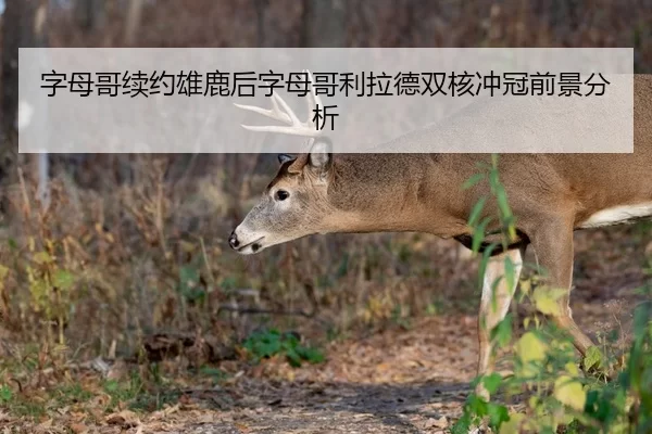 字母哥续约雄鹿后字母哥利拉德双核冲冠前景分析